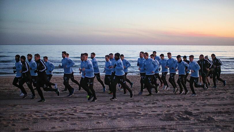 Die Löwen beim morgendlichen Strandlauf um 7.30 Uhr.