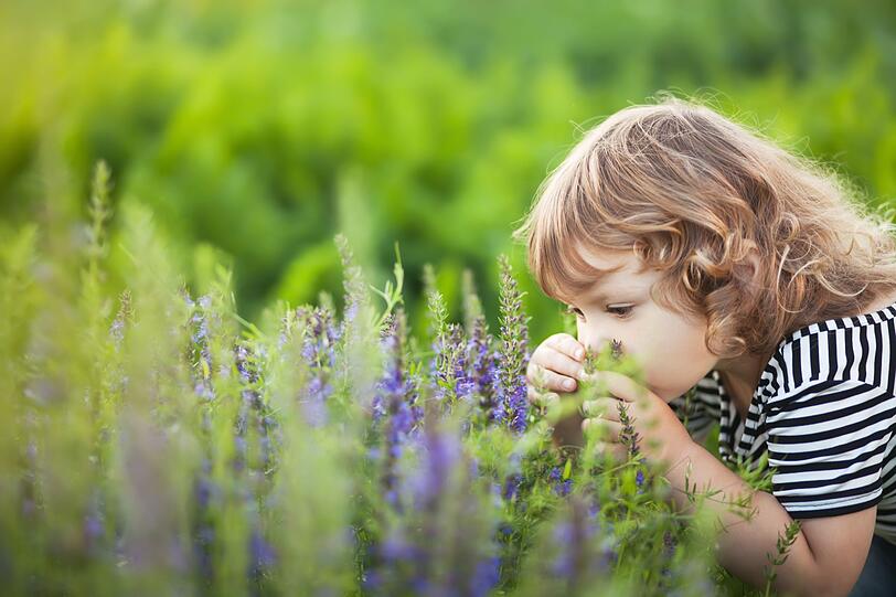 Giftige Pflanzen wachsen nicht nur in tropischen Regionen, sondern auch bei uns in Deutschland. Wom&ouml;glich sogar in Ihrem Garten. Besonders f&uuml;r Kinder, die unbedarft an Pflanzen riechen oder gar Pflanzenteile in den Mund nehmen, stellen Sie eine Gefahr dar. Eltern sollten ihren Kindern so fr&uuml;h wie m&ouml;glich beibringen, keine Pflanzenteile in den Mund zu stecken, um so Vergiftungen vorzubeugen.