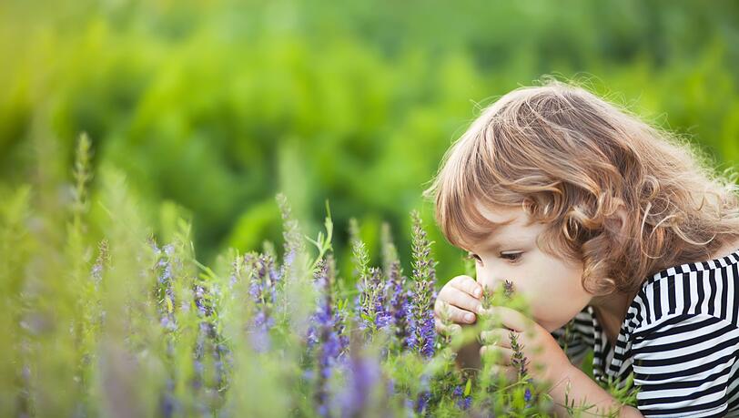Giftige Pflanzen wachsen nicht nur in tropischen Regionen, sondern auch bei uns in Deutschland. Wom&ouml;glich sogar in Ihrem Garten. Besonders f&uuml;r Kinder, die unbedarft an Pflanzen riechen oder gar Pflanzenteile in den Mund nehmen, stellen Sie eine Gefahr dar. Eltern sollten ihren Kindern so fr&uuml;h wie m&ouml;glich beibringen, keine Pflanzenteile in den Mund zu stecken, um so Vergiftungen vorzubeugen.