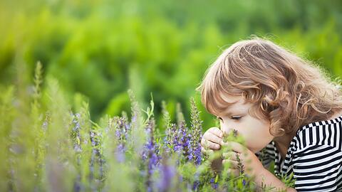 Giftige Pflanzen wachsen nicht nur in tropischen Regionen, sondern auch bei uns in Deutschland. Wom&ouml;glich sogar in Ihrem Garten. Besonders f&uuml;r Kinder, die unbedarft an Pflanzen riechen oder gar Pflanzenteile in den Mund nehmen, stellen Sie eine Gefahr dar. Eltern sollten ihren Kindern so fr&uuml;h wie m&ouml;glich beibringen, keine Pflanzenteile in den Mund zu stecken, um so Vergiftungen vorzubeugen.