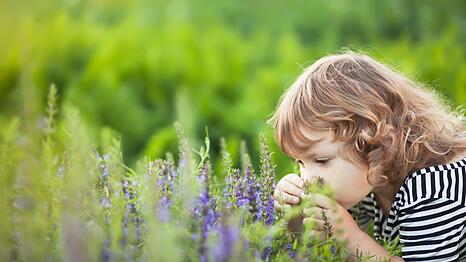 Giftige Pflanzen wachsen nicht nur in tropischen Regionen, sondern auch bei uns in Deutschland. Wom&ouml;glich sogar in Ihrem Garten. Besonders f&uuml;r Kinder, die unbedarft an Pflanzen riechen oder gar Pflanzenteile in den Mund nehmen, stellen Sie eine Gefahr dar. Eltern sollten ihren Kindern so fr&uuml;h wie m&ouml;glich beibringen, keine Pflanzenteile in den Mund zu stecken, um so Vergiftungen vorzubeugen.