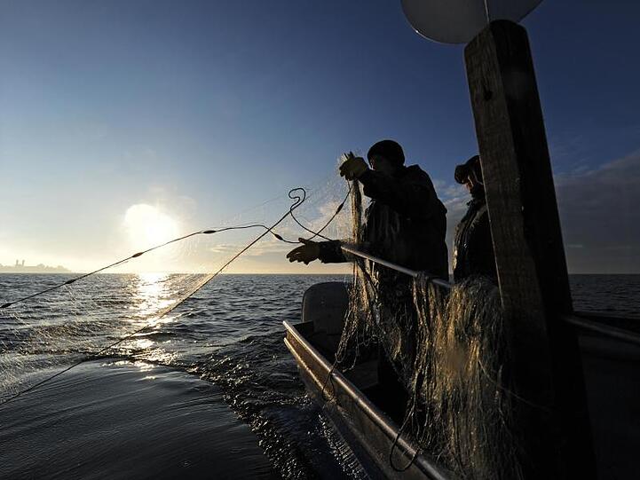 Fischer fahren in ihrem Fischerboot auf dem Bodensee. Foto: Felix Kästle/dpa/Archivbild