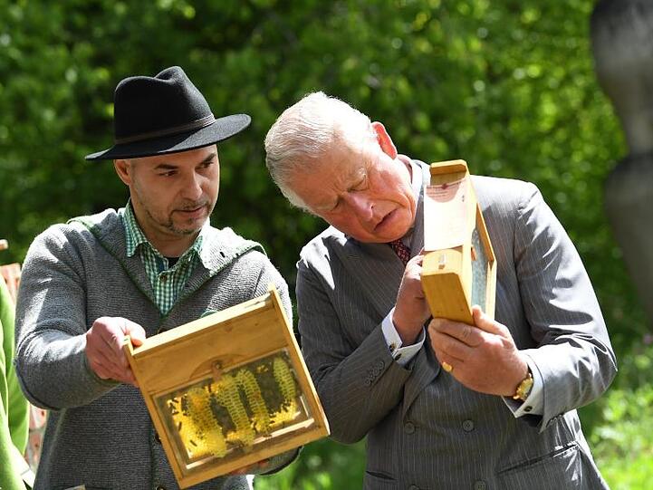 Prinz Charles (r), ließ sich vom Imker Alen Bacic die Bienen zeigen.