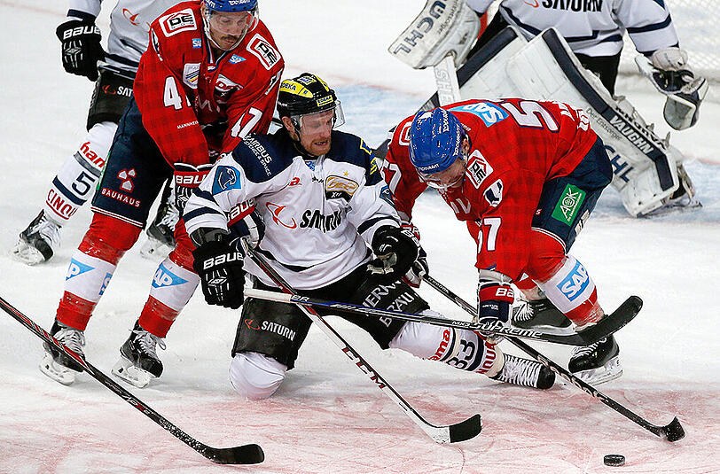 Maximal sieben Spiele kämpfen die Adler Mannheim und der ERC Ingolstadt um die Meisterschaft in der DEL.