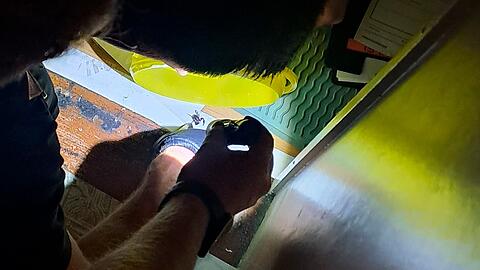 Bei dem Schwabinger Exemplar handelt es sich nach Ansicht der Experten um einen vorwiegend in Südeuropa vorkommenden Skorpion, der aber immer mehr auch in Deutschland anzutreffen ist.