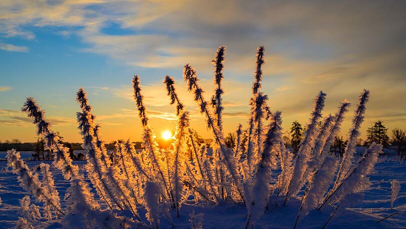Sonne und kalte Luft erwarten die Meteorologen zum Wochenbeginn. (Archivbild)