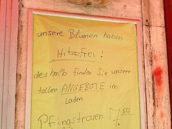 Die Blumen verstecken sich im Laden vor der prallen Sonne.