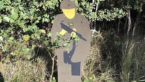 Diese durchlöcherte Figur ist verlassen im Wald gestanden.