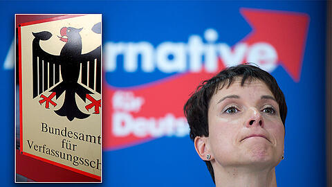 Soll die AfD vom Verfassungsschutz beobachtet werden? Der Dienst selber sagt, die Partei sei nicht extremistisch.