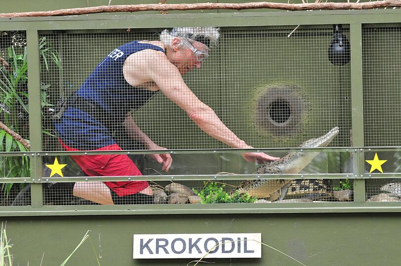 Peter Orloff holt alle fünf Sterne in den Reptilien-Kammern.