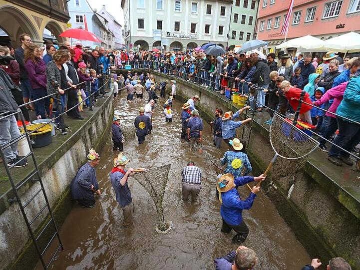 Teilnehmer des Fischertages stehen während des Ausfischens im Stadtbach. Foto: Karl-Josef Hildenbrand/dpa/Archivbild