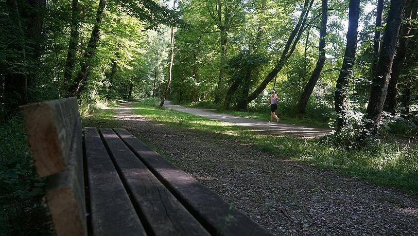 Die Grünanlage beim Golfplatz Thalkirchen ist sehr schattig. Gut für heiße Tage. Die Grünanlage beim Golfplatz Thalkirchen ist sehr schattig. Gut für heiße Tage.