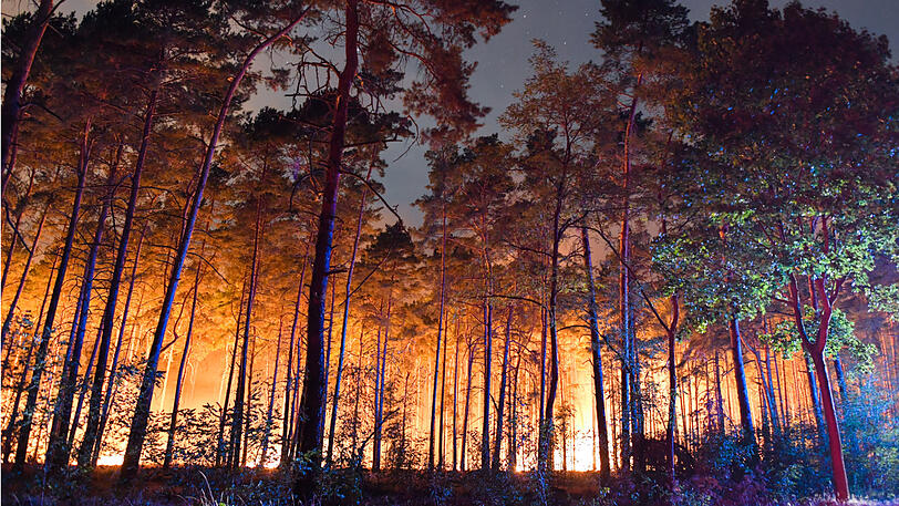 Hunderte Hektar Wald stehen südlich von Berlin in Flammen...