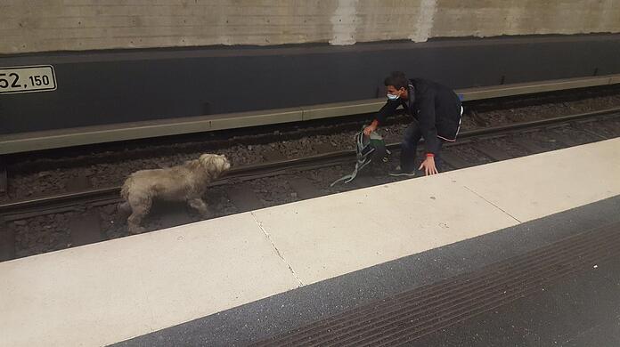 Showdown am Gleis: Ein Zamplerl soll aus dem Gleis gerettet werden, damit die U-Bahn weiterfahren kann.