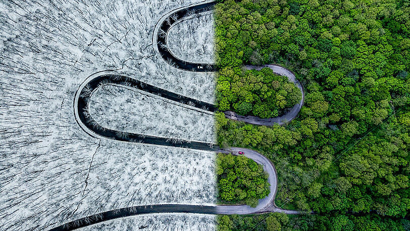 "Weather Snake": Gewinner in der Kategorie Abstrakt.