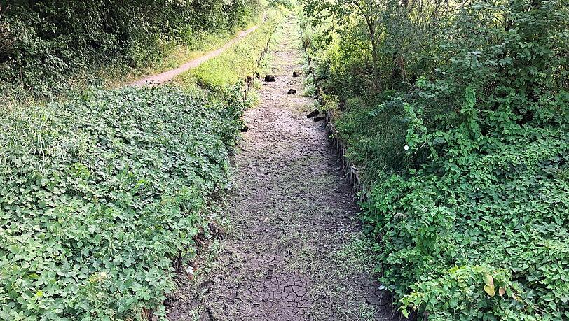 Der H&uuml;llgraben im Nordosten von M&uuml;nchen ist fast vollst&auml;ndig ausgetrocknet.