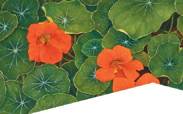 Stefan Caspari stellt ab Freitag seine Porträts im Botanischen Garten aus. Seine Objekte: natürlich Pflanzen.