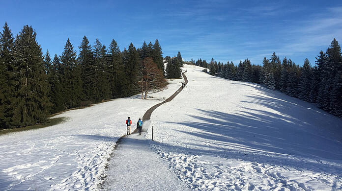 Zwei Ausflügler wandern am Tegernsee auf einem Weg durch eine verschneite Berglandschaft.
