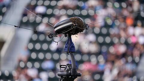 Bienen umschwirren eine Kamera in Indian Wells.