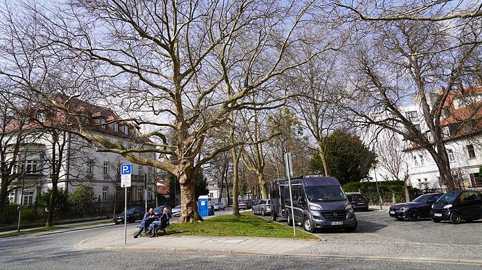 Auf dieser Grünfläche an der Prinzenstraße soll ein Teil des Weiße-Rose-Zauns zum Gedenken aufgestellt werden.