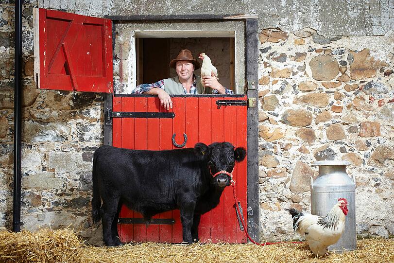Mit 76,2 Zentimetern ist Archie Dexter aus Irland der kleinste Stier der Welt.