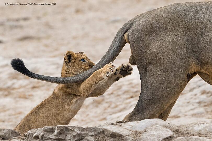 "Grab life by the ....."