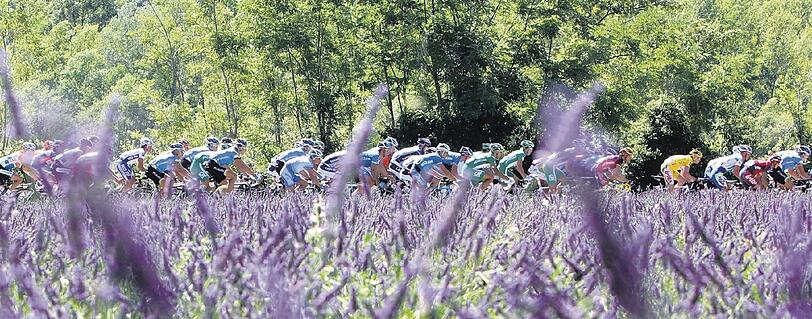 &bdquo;Eine Reformation der Tour de France bleibt unvorstellbar, weil man dann lauter Ernüchterte auf die Piste schicken würde&ldquo; .