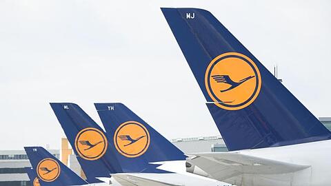 Lufthansa-Maschinen mit dem Kranich-Logo stehen am Frankfurter Flughafen.