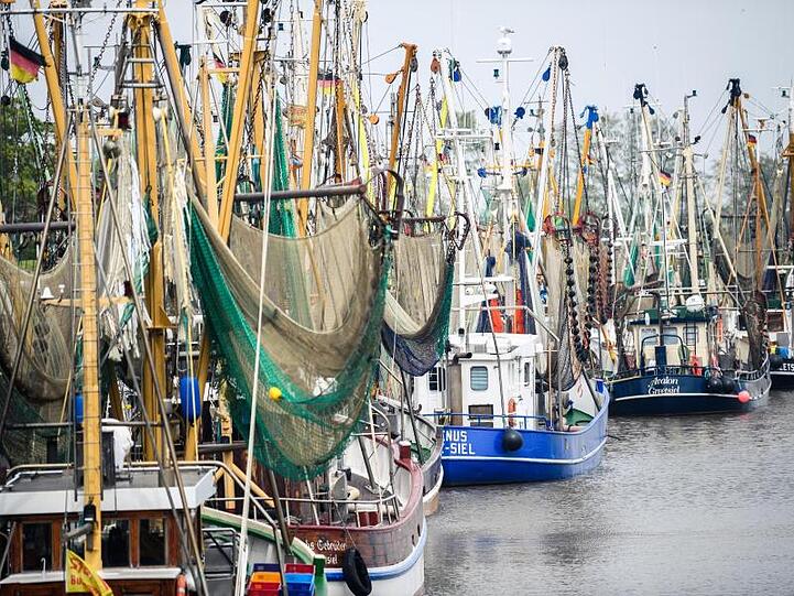 Gerade erst in die Saison gestartet, müssen Krabbenfischer an der deutschen Nordseeküste eine Zwangspause wegen Corona einlegen.
