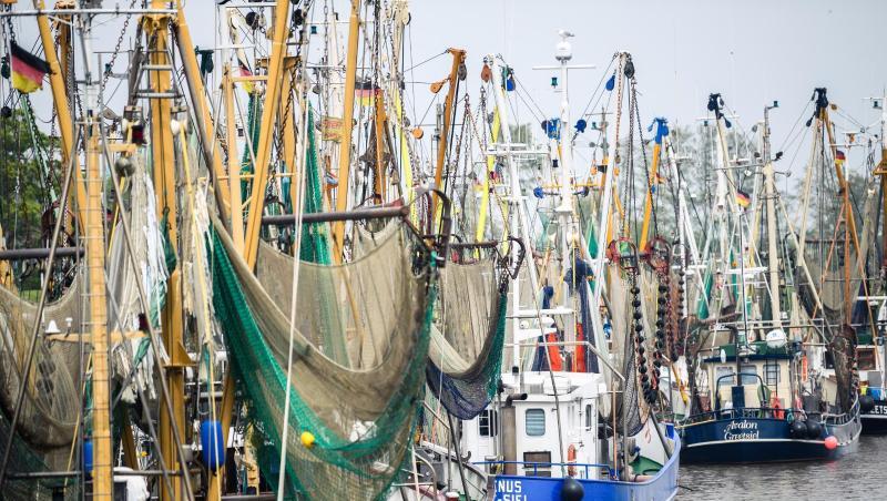 Gerade erst in die Saison gestartet, müssen Krabbenfischer an der deutschen Nordseeküste eine Zwangspause wegen Corona einlegen. Gerade erst in die Saison gestartet, müssen Krabbenfischer an der deutschen Nordseeküste eine Zwangspause wegen Corona einlegen.