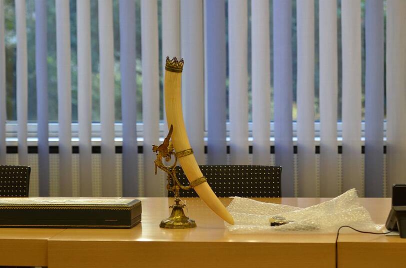 Corpus delicti: Ein Stoßzahn.