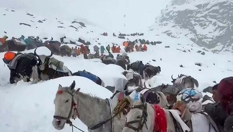 Dorfbewohner stiegen mit Pferden und Ochsen auf den Mount Everest, um zu den Wanderern zu gelangen. (Archivbild)