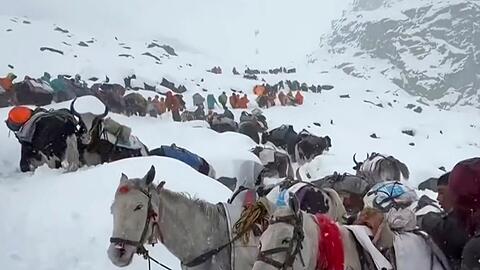 Dorfbewohner stiegen mit Pferden und Ochsen auf den Mount Everest, um zu den Wanderern zu gelangen. (Archivbild)