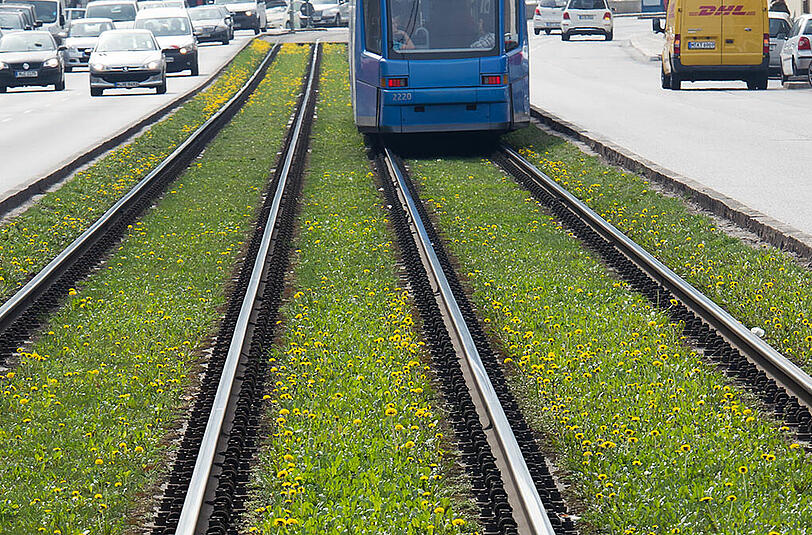 Auch in der Landsberger Straße verlaufen die Tramgleise in der Mitte der Fahrbahn.
