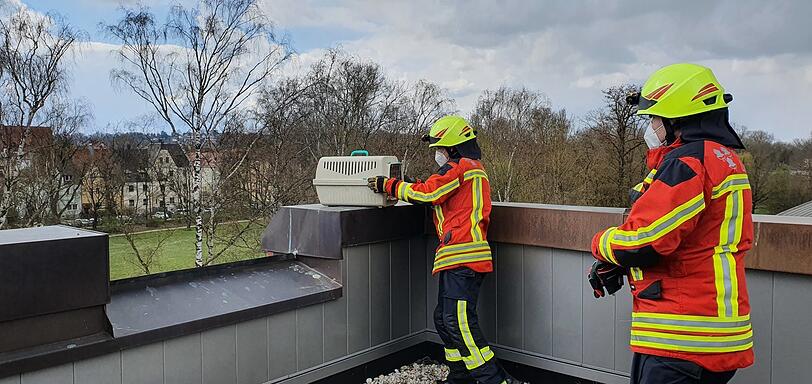 Die Feuerwehr sichert sie auf dem Dach.