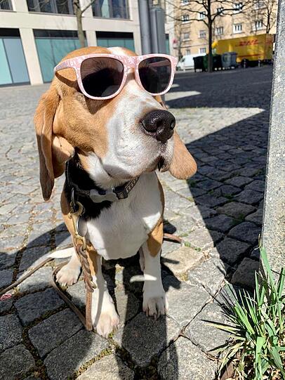 Krümel:  Sie macht alles mit mir mit. Ist immer an meiner Seite. Sie liebt es, bei mir zu sein.