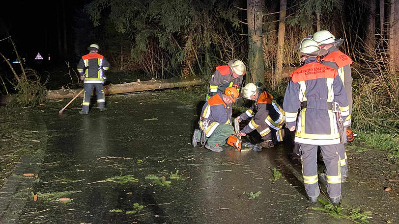 Feuerwehrleute räumen Zweige und einen umgestürzten Baum in Sigmarszell von der Straße. In der Nacht waren Sturmböen über den Landkreis Lindau gefegt.