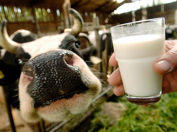 Wird Milch jetzt billiger? Es gibt derzeit ein Überangebot.