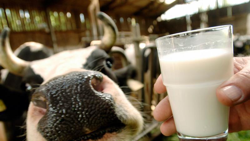 Wird Milch jetzt billiger? Es gibt derzeit ein Überangebot. Wird Milch jetzt billiger? Es gibt derzeit ein Überangebot.