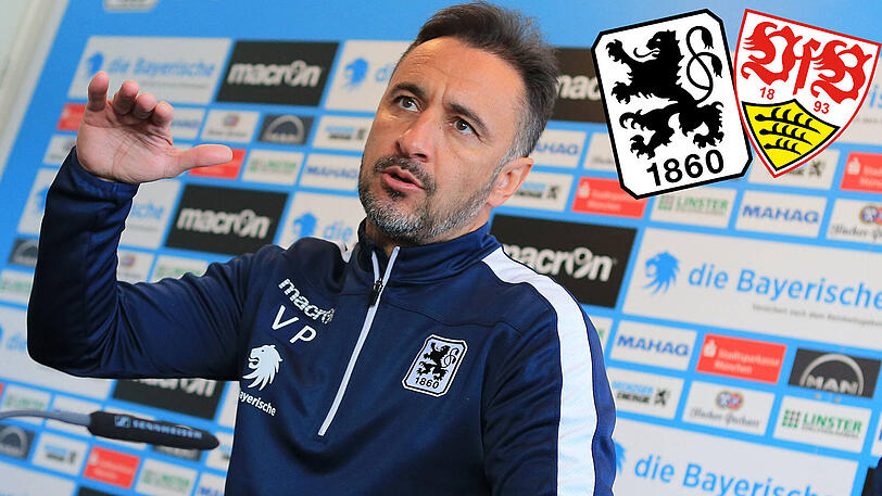 Vitor Pereira empfängt mit den Löwen am Mittwoch den Vfb Suttgart in der Arena.