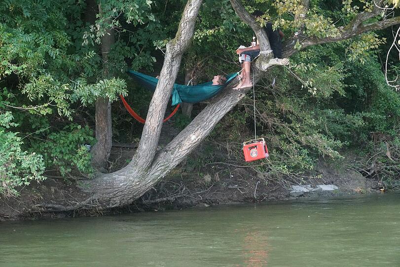 Egal im Baum oder ...