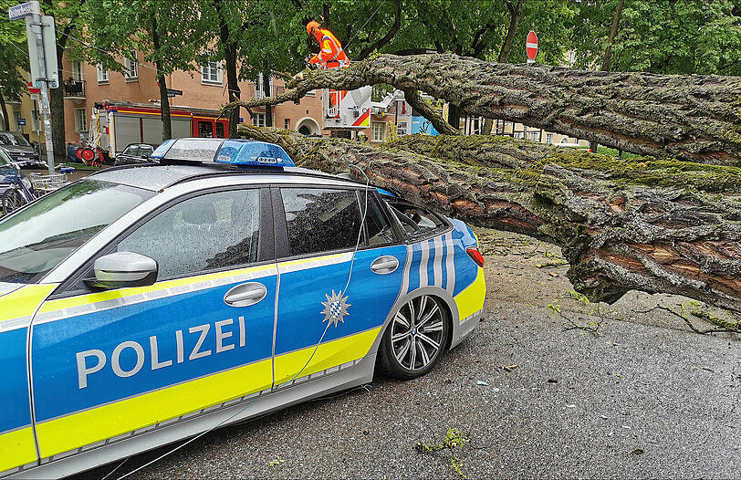 Die Robinie traf den Streifenwagen mit voller Wucht.