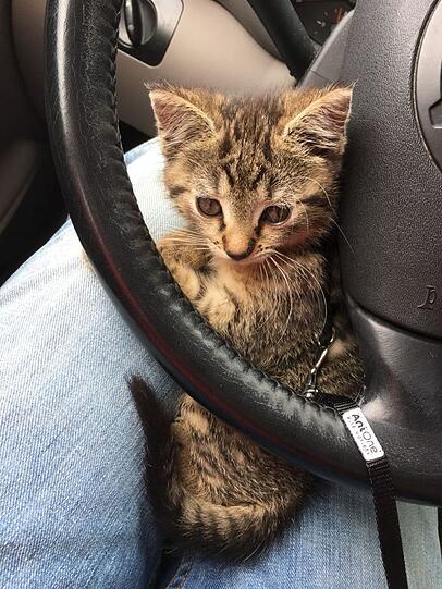 Luna