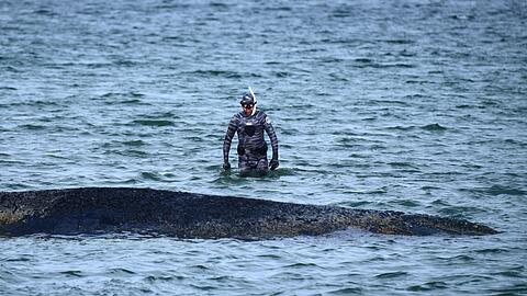 Bei der Rettungsaktion vor Timmendorfer Strand hat Lehmann unterst&uuml;tzt. (Archivbild)