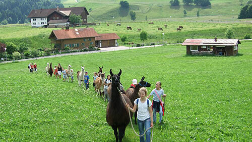Lamatrekking im Oberallgäu, Foto: PR Lamatrekking im Oberallgäu, Foto: PR