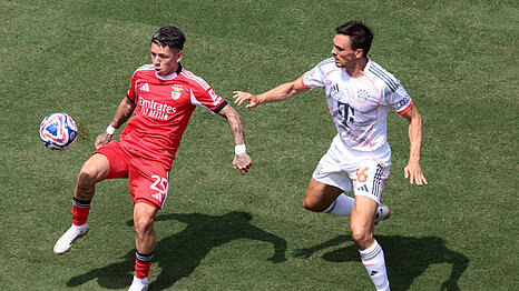 Joao Palhinha blieb gegen Benfica Lissabon blass.