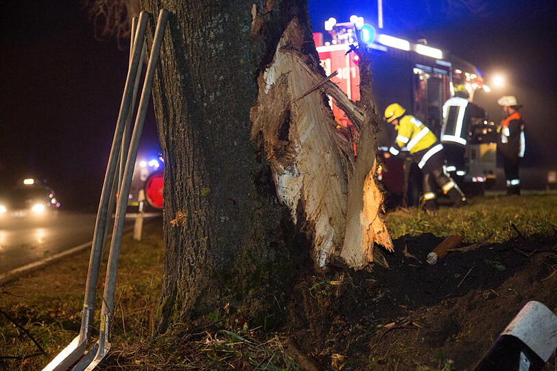 Schwerer Unfall bei Anger: BMW kracht gegen einen Baum - Bayern - Abendzeitung München