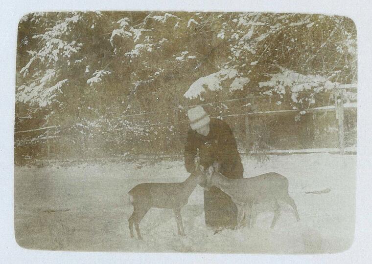 Maria Marc mit Rehen im Schnee.