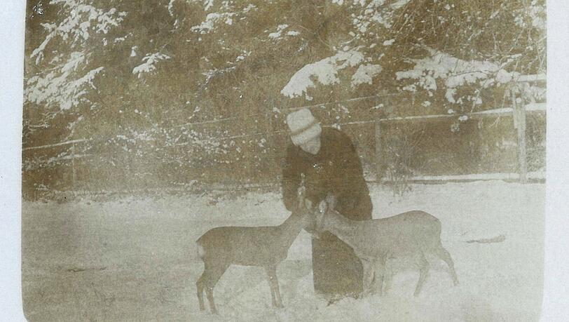 Maria Marc mit Rehen im Schnee. Maria Marc mit Rehen im Schnee.