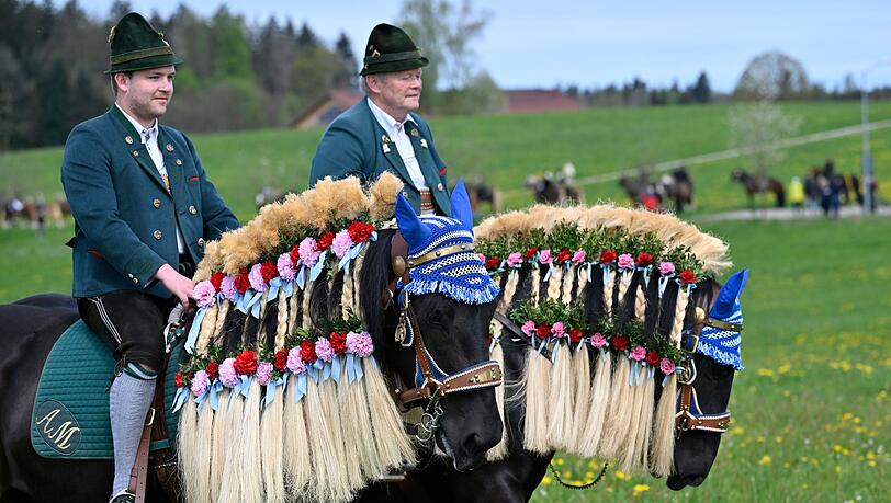 Die Pferde sind beim Georgiritt festlich geschmückt.